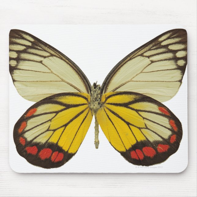 Alfombrilla De Ratón Cierre de una mariposa 3 (Frente)