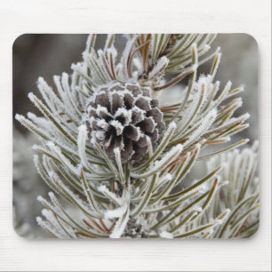 Alfombrilla De Ratón Cierre del cono de pino congelado, Yellowstone