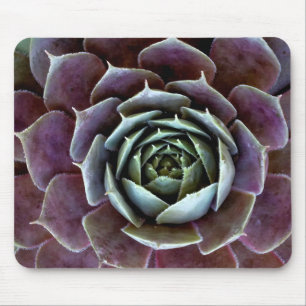 Alfombrilla De Ratón Cierre Purple Succulent