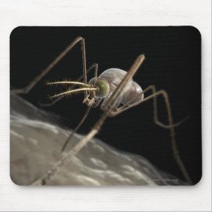 Alfombrilla De Ratón Ciérrese encima de morder del mosquito 3d