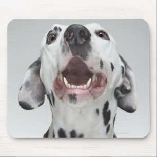 Alfombrilla De Ratón Ciérrese para arriba de un perro dálmata