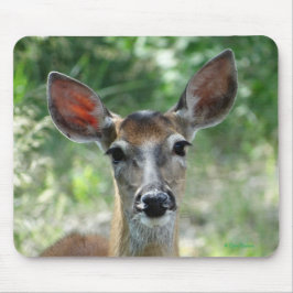 Alfombrilla de ratón cierva de cola blanca D33