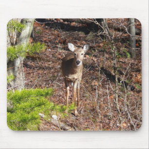 Alfombrilla De Ratón Ciervo Adorable en la Naturaleza Fotografía de Bos