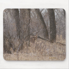 Alfombrilla De Ratón Ciervos Blancos-taileded D1 en los árboles de