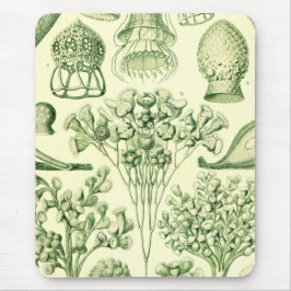 Alfombrilla De Ratón Ciliatas de Ernst Haeckel