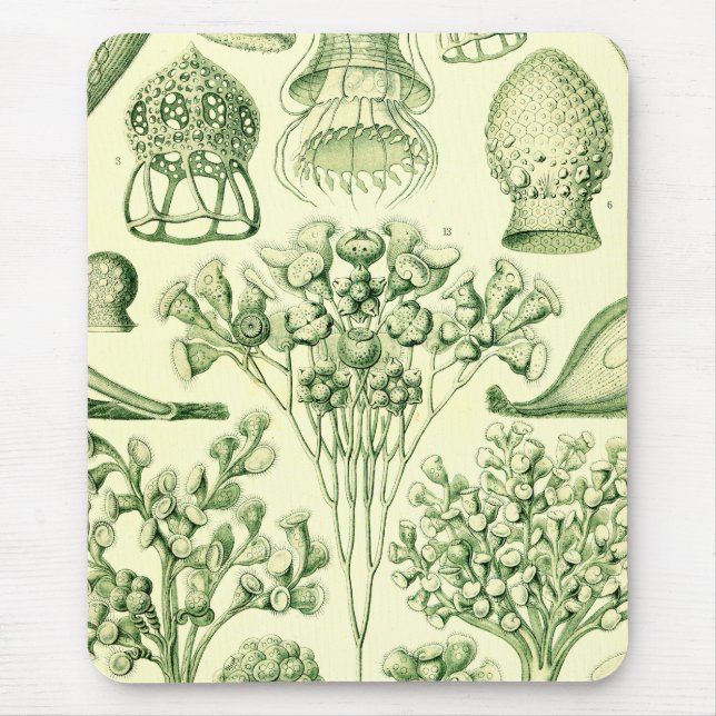 Alfombrilla De Ratón Ciliatas de Ernst Haeckel (Frente)