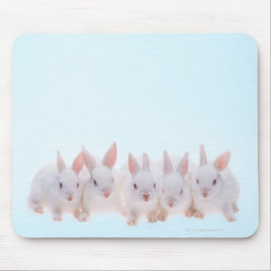 Alfombrilla De Ratón Cinco conejos
