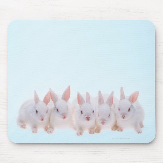 Alfombrilla De Ratón Cinco Conejos (Frente)