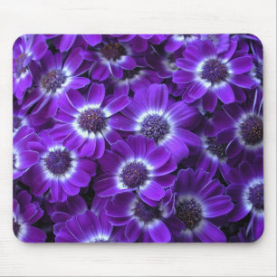 Alfombrilla De Ratón Cineraria púrpura