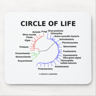 Alfombrilla De Ratón Círculo de la vida (árbol filogenético circular)