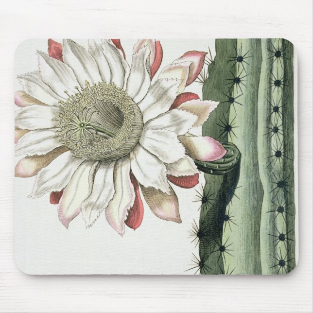 Alfombrilla De Ratón Cirio Erectus Altissimus Syrinamensis de 'Phyth (Frente)