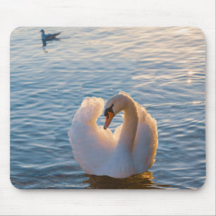 Alfombrilla De Ratón cisne, ave, animal