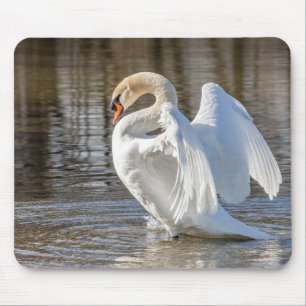 Alfombrilla De Ratón cisne, ave, animal