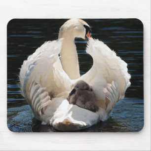 Alfombrilla De Ratón cisne cisne blanco