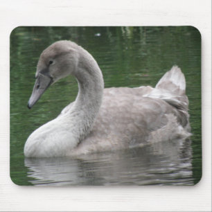 Alfombrilla De Ratón Cisne elegante en el Mousepad de agua