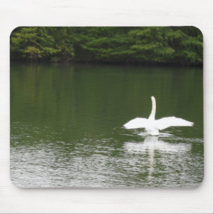 Alfombrilla De Ratón Cisne en Town Lake