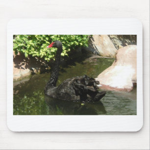 Alfombrilla De Ratón Cisne negro