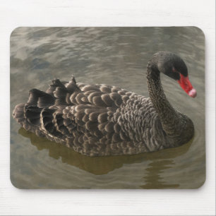 Alfombrilla De Ratón Cisne negro