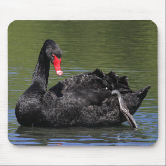 Alfombrilla De Ratón Cisne negro