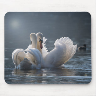 Alfombrilla De Ratón cisne, pequeño, amor