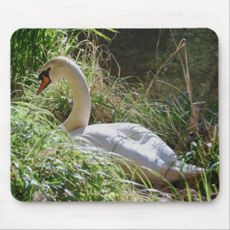 Alfombrilla De Ratón Cisne sereno Mousepad