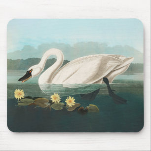 Alfombrilla De Ratón cisnes de agua blanca de cisne audubon