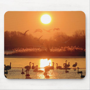 Alfombrilla De Ratón Cisnes en el lago Sunset
