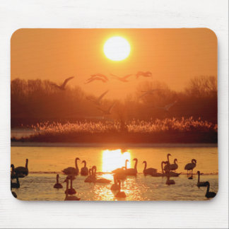 Alfombrilla De Ratón Cisnes en el lago Sunset