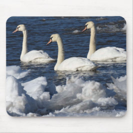 Alfombrilla De Ratón Cisnes en el río Icey