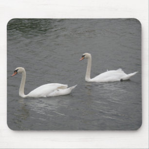 Alfombrilla De Ratón Cisnes en el río Mousepad