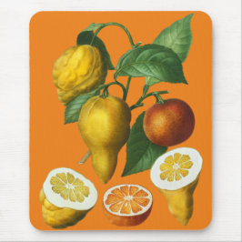 ALFOMBRILLA DE RATÓN CITRUS FRUIT
