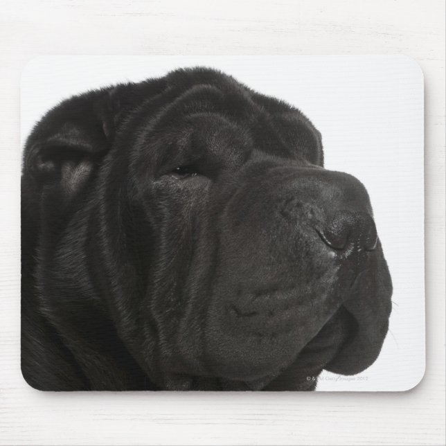 Alfombrilla De Ratón Clausura de Shar Pei (1 año de edad) (Frente)