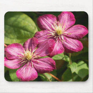 Alfombrilla De Ratón Clematis
