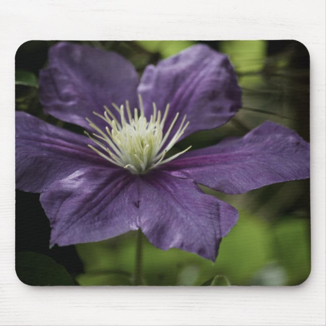 Alfombrilla De Ratón Clematis 8510 Mousepad (Frente)