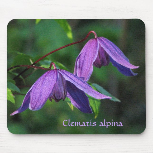 Alfombrilla De Ratón Clematis de encargo Mousepad (Frente)