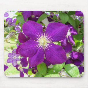 Alfombrilla De Ratón Clematis púrpura