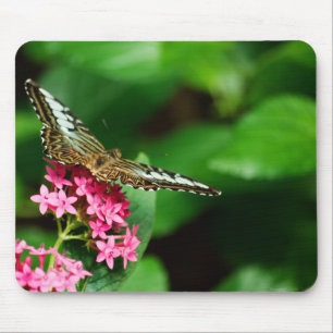 Alfombrilla De Ratón Clipper en Pentas 2 Mousepad