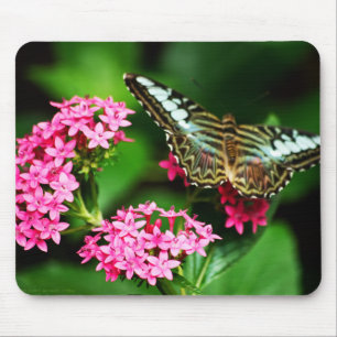 Alfombrilla De Ratón Clipper on Pentas 1 Mousepad