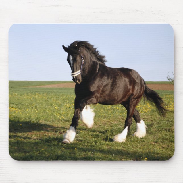 Alfombrilla De Ratón Clydesdale Horse (Frente)