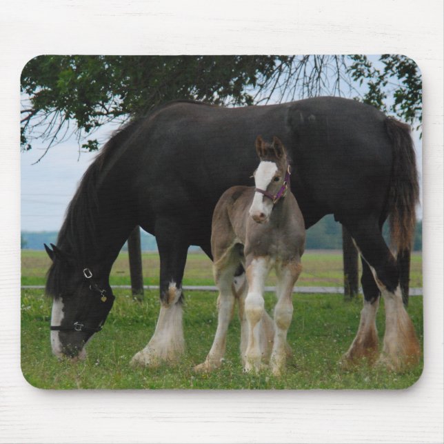 Alfombrilla De Ratón Clydesdale negro y potra (Frente)