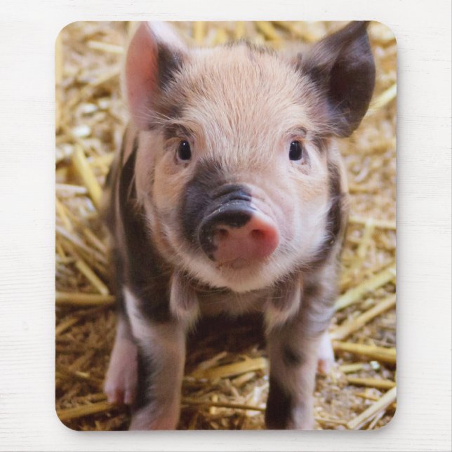 Alfombrilla De Ratón Cochinillo (Frente)