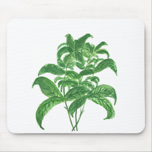 Alfombrilla De Ratón Cocina verde hierbas botánicas Basil