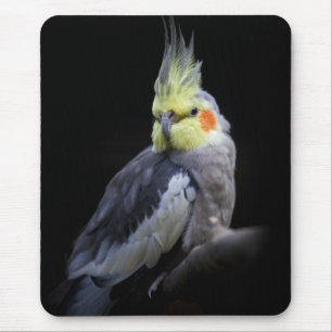 Alfombrilla De Ratón Cockatiel Mousemat