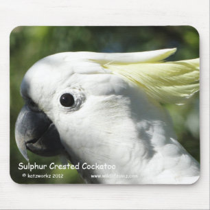 Alfombrilla De Ratón Cockatoo con cresta del azufre