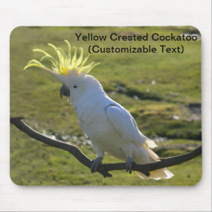 Alfombrilla De Ratón Cockatoo curado con azufre amarillo australiano