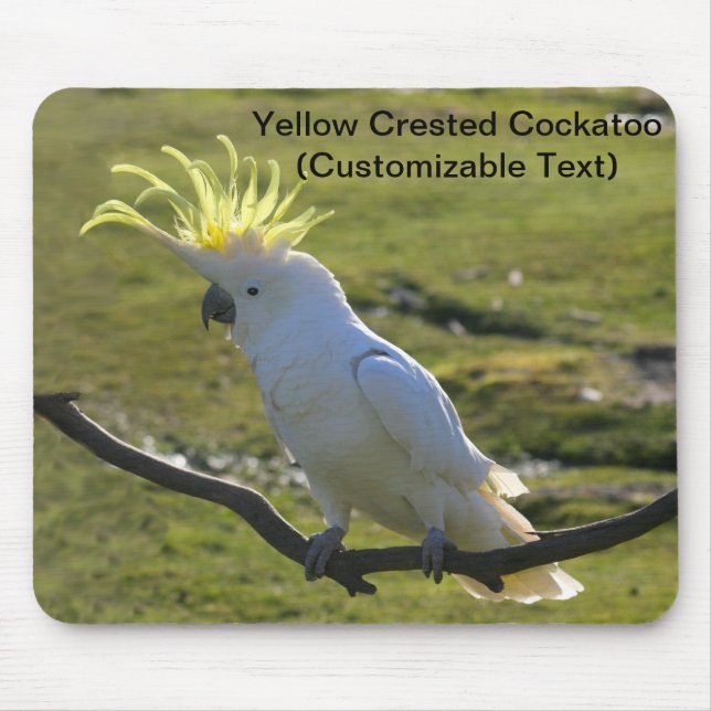 Alfombrilla De Ratón Cockatoo curado con azufre amarillo australiano (Frente)