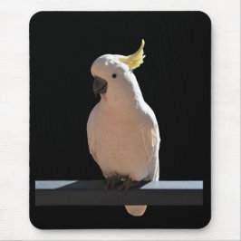 Alfombrilla De Ratón Cockatoo en Sundial Apartments Mousepad