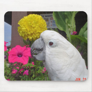Alfombrilla De Ratón Cockatoo Mousepad del paraguas