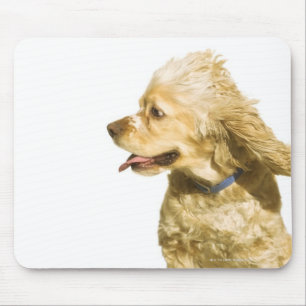Alfombrilla De Ratón Cocker spaniel