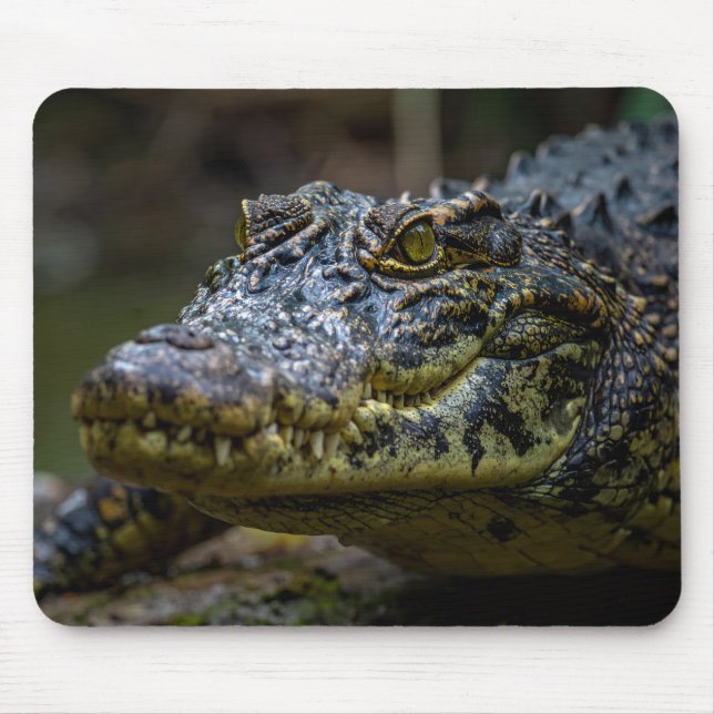 Alfombrilla De Ratón cocodrilo (Frente)